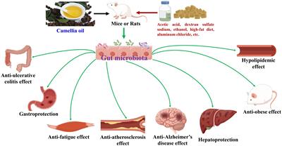 Edible plant oils modulate gut microbiota during their health-promoting effects: a review